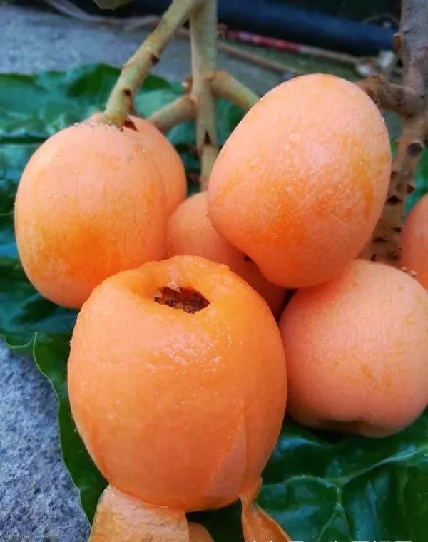 山庄一角